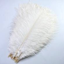 10pcs Natural crafts feathers ostrich plumes 15-70CM DIY white ostrich feathers for jewelry making Wedding home party decorative 2024 - compre barato