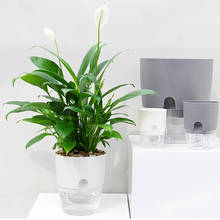 Decoração de escritório em casa vaso de flores hidropônico criativo auto rega preguiçoso vaso de flores escritório em casa decoração do jardim para o presente do festival 2024 - compre barato