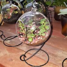 Креативная прозрачная стеклянная ваза-шар Микро пейзаж подвесной Террариум для растений суккулентный подвесной горшок контейнер 2024 - купить недорого