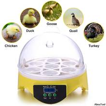 Incubadora para ovos de aves, chocadeira digital de temperatura para ovos, incubadora para galinha, pato, pombos, mini 7 peças 2024 - compre barato