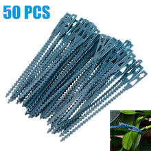 50pcs/lot Plant Ties Reusable Garden Plastic Cable Tree Climbing Cane Support Clips Plant Strapping 13.5cm 2024 - buy cheap