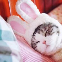 Cute Pet Costume Cosplay Rabbit Ears Cap Hat for Cat Halloween Xmas Clothes Fancy Dress with Ears Autumn Winter 2024 - buy cheap