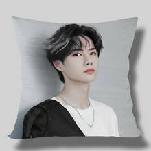 UNIQ-fundas de almohada cuadradas personalizadas Wang Yibo Lan wangji, con cremallera, un lado, personaliza tu imagen de regalo, novedad 2024 - compra barato