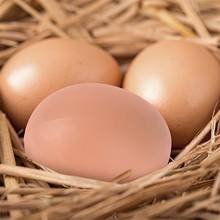 Инкубационное яйцо, курица, птица, Люк, размножение, Искусственные пластиковые искусственные яйца, сделай сам, живопись, пасхальное яйцо, декор для вечеринки, новинка, игрушка 2024 - купить недорого