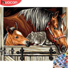 HUACAN Oil Painting By Numbers Horse Animal Kit Drawing On Canvas Wall Art HandPainted DIY Gift Home Decor 2024 - buy cheap