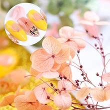 Dried Flowers DIY Epoxy Resin Handmade Crafts Filling Materials  2024 - buy cheap