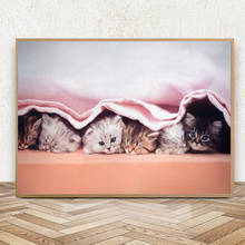 Печать на холсте настенная живопись плакат пять милых котят в скандинавском стиле Модульная картина для детской комнаты прикроватный фон домашний декор 2024 - купить недорого