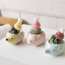 Mini Animal Ceramic Pot Cute Hedgehog Pig Flowerpot Succulent Cactus Pot Home Decor Garden Accessories Office Decor Pots 2024 - buy cheap