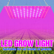 LED Grow Light Phytolamp For Plants 2835 Lamp Beads Quantum Board Growth Lighting Full Spectrum Hydroponics Plant Lamp 2024 - buy cheap