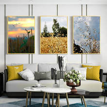 Oat Harvest Season Posters And Prints Wall Art Canvas Painting Wall Pictures Modern Living Room Sunset Landscape Cuadros Decor 2024 - buy cheap