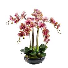 5 orquídea + 3 folhas + 1 folhas pequenas-buquê de flores com toque real organização orquídea com folhas festa de casamento evento índigo 2024 - compre barato