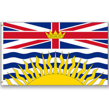 60x90cm/90x150cm/120x180cm Flag of British Columbia Canada Flag banner 100D Polyester brass grommets custom printed flag 2024 - buy cheap