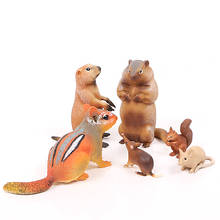 Simulation groundhog,chipmunk,opossum,Little squirrel,mouse forest wild animal model action figure Kid's Decoration accessories 2024 - buy cheap