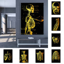 Arte de anatomía, lienzo humano, pintura de cráneo, varillas, columna vertebral, pélvico, impresión artística de pared, póster nórdico, imágenes de pared para decoración de oficina y Doctor 2024 - compra barato