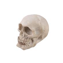 Cráneo humano para decoración del hogar, estatua de resina artesanal, mini escultura de cráneo, utilería de Halloween, decoración de fiesta de terror con personalidad, p0744 2024 - compra barato
