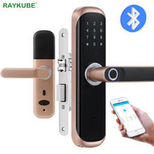RAYKUBE Intelligent Door Lock Support TTlock APP Bluetooth Fingerprint / Password / Smart Card / Key With Mortise Lock Gold X3 2024 - buy cheap