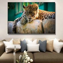 Leopardo resto na árvore natureza real pintura da lona chita cartaz e impressão arte da parede moderna imagem para sala de estar decoração casa 2024 - compre barato