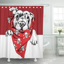 Bandana retrato de perro Labrador en pañuelo rojo, cortina de ducha de calaveras, tela de poliéster impermeable, 72x72 pulgadas 2024 - compra barato