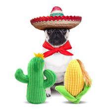Brinquedo do cão milho cactus forma cão de estimação interativa guinchar mastigar brinquedos de pelúcia ao ar livre traning para pequenos cães médios brinquedo do gato 2024 - compre barato