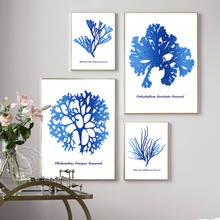Hamptons Watercolour Blue Coral Art Prints, Colored Drawing Marine Plants Printing Poster, Minimalism Wall Picture Home Decor 2024 - buy cheap