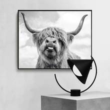 Pintura en lienzo de animales salvajes Yak Highland Cow, carteles e impresiones, imágenes artísticas de pared para sala de estar, decoración del hogar, Cuadros 2024 - compra barato