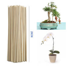 Novidade 50 peças suporte de madeira para crescimento de plantas, varas de plantas de bambu para vara de flor, suporte de cana, ferramenta para jardim bonsai 2024 - compre barato