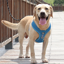 Peiteira e colete para animais de estimação, conjunto com peiteira e colete refletores para cachorro grande, golden retriever 2024 - compre barato