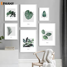 Scandinavian Green Plant Monstera Canvas Painting Tropical Palm Leaves Print Nordic Minimalist Wall Art Picture for Living Room 2024 - buy cheap