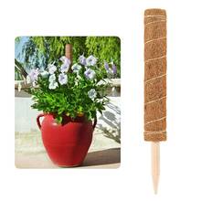 1PC Coir Moss Totem Pole Extend Coconut Palm Sticks And Green Sclerotia Gardening Pillars Climbing Garden Plants 50/60/70/80cm 2024 - buy cheap