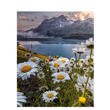 Pintura fotopersonalizada por números, flores DIY, 60x75cm, pintura al óleo por números sobre lienzo, paisaje, sin marco, pintura por números 2024 - compra barato