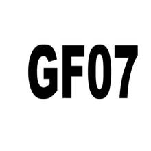 GF07 2024 - buy cheap