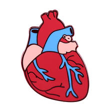 Эмалированная булавка в виде сердца, Анатомическое Сердце 2024 - купить недорого