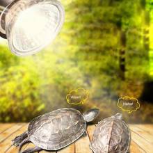 Уфв 3,0 лампа для рептилий лампочка черепаха греющая УФ светильник почка нагревательная лампа амфибии ящерицы температуры 2024 - купить недорого