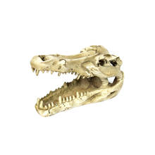 Reptile Vivarium Decoration Hiding Cave Aquarium Underwater Ornament Crocodile Skull 2024 - buy cheap