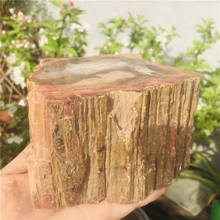 Pedra original fóssil de madeira petrificada natural, decoração doméstica de quartzo bruto, amostra mineral de cura, reiki 2024 - compre barato