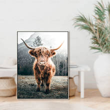 Nordic pintura da lona highland vaca montanha ainmal paisagem parede arte impressão cartaz imagem sala de estar decoração casa transporte da gota 2024 - compre barato