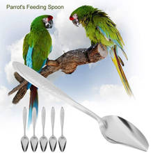 Colher de alimentação de papagaio de aço inoxidável, peças, papagaio, alimentador de papagaio para todos os bebês, aves, peônia, calopsita, alimentação de mão, colheres 2024 - compre barato