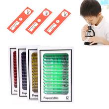 48 Pcs Prepared Microscope Slides Specimen Animals Insects Plants Flowers Sample 2024 - buy cheap