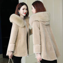 Women Jackets New Winter Imitation Sheep Shearing Coat Female IImitation Fox Fur Collar  Outwear Granular Fur Hooded Fur Coat 2024 - buy cheap