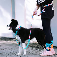 Coleira e coleira de nylon antiderrapante, conjunto para correr e treinar, cão de estrangulamento forte, coleiras e guias de animais de estimação, passeio elástico 2024 - compre barato