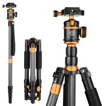 QZSD-trípode de fibra de carbono Q888C para cámara SLR, soporte de cardán para fotografía profesional, portátil, extraíble, para teléfono 2024 - compra barato