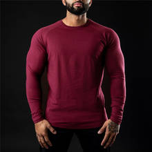 Camiseta fitness masculina de algodão para academia, camisa de manga longa com gola redonda, moda para primavera 2024 - compre barato