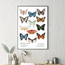 Paintings On The Wall Modern Nordic Canvas Painting Decoration for Home Butterfly Posters and Prints Room Decor Wall Art 2024 - buy cheap