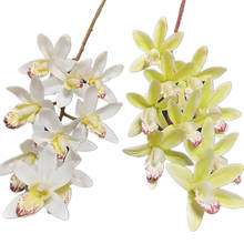 5p toque Real orquídea Cymbidium de planta de flor Artificial 9 cabezas Phalaenopsis orquídeas para decoración para hogar y boda flores 2024 - compra barato