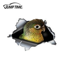 Jump Time 13cm x 8.7cm yellow sided green cheek conure Decal 3D Pet Graphic Vinyl Decal Car Window Bumper Car Stickers 2024 - buy cheap