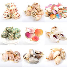 17 styles Aquarium Beach Nautical DIY Shells Colorful Natural Seashells Decorations Scallop Shells Crafts Decor Ornament 5Pcs 2024 - buy cheap