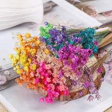 Декоративные сушеные цветы, 30 шт., мини-ромашки, маленькие Звездные цветы, букет натуральных растений, сохраняющие цветы для украшения дома на свадьбу 2024 - купить недорого