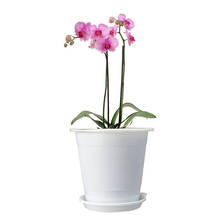 Meshpot 4 polegadas plástico claro orquídea pote com furos, vaso de flor plantador orquídea plantador recipiente evitar podridão 2024 - compre barato