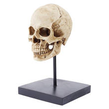 Estátua de caveira humana vintage, cabeça humana, resina, escultura de caveira, decoração de halloween 2024 - compre barato