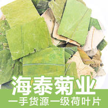 Dry Lotus Leaf Granule Herbal cha Flower Nectar Health Care Wedding Party Supplies Dried Flower 2024 - buy cheap